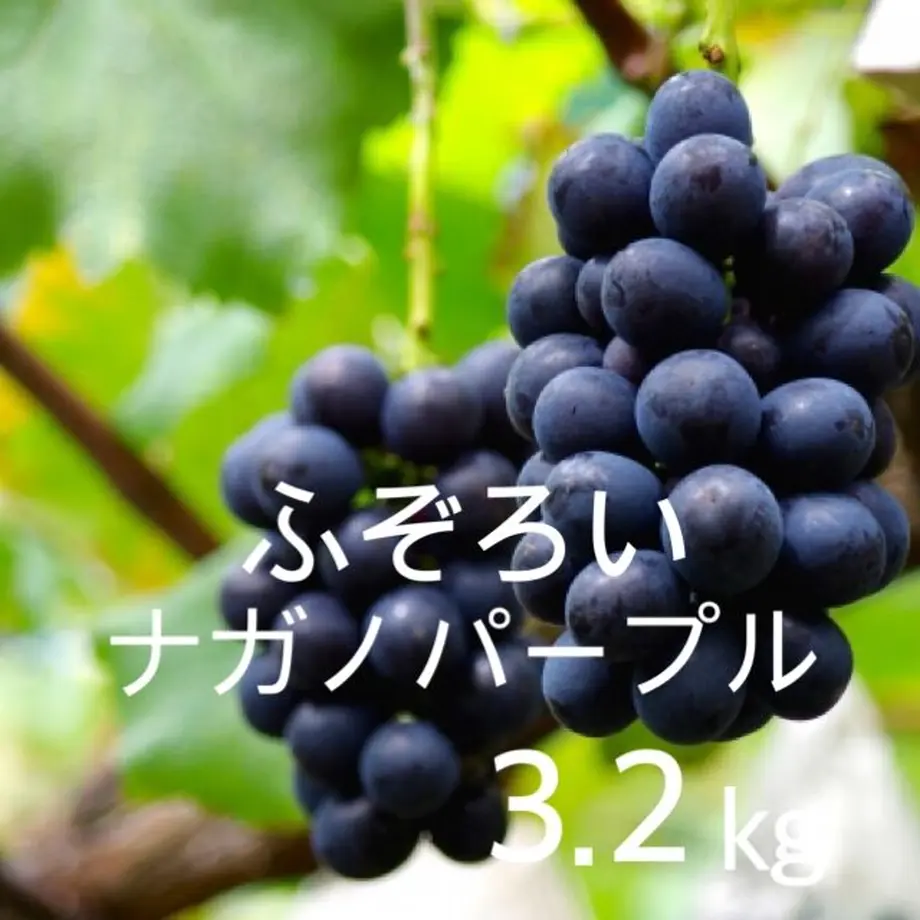 61290f9de50c0b599e12780b