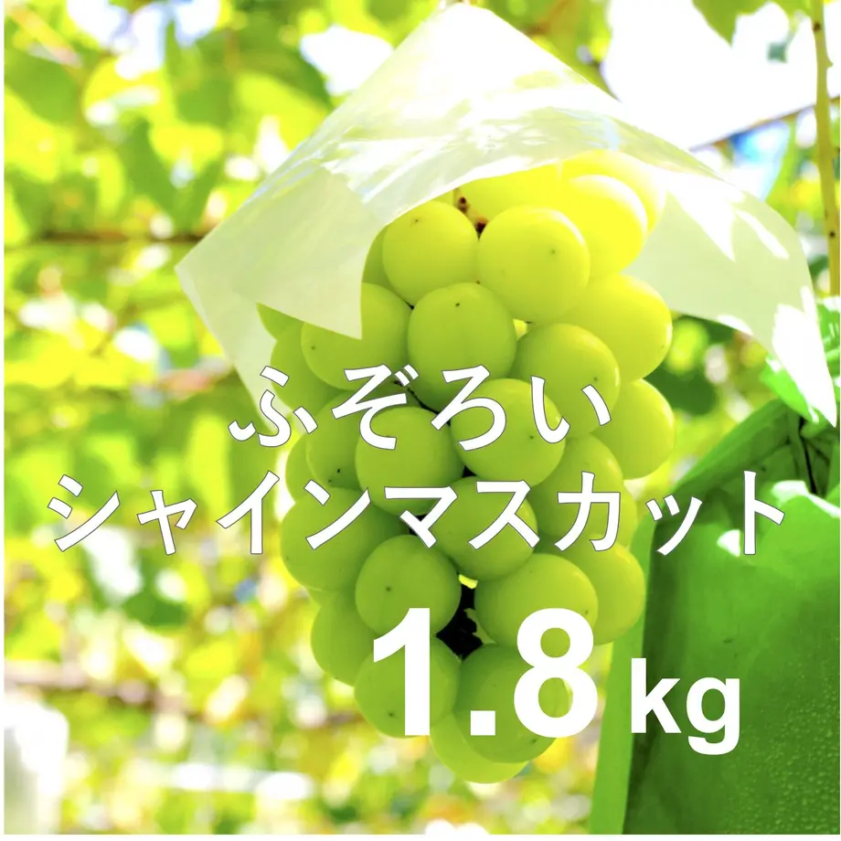 630e1407ef80857579b5172b