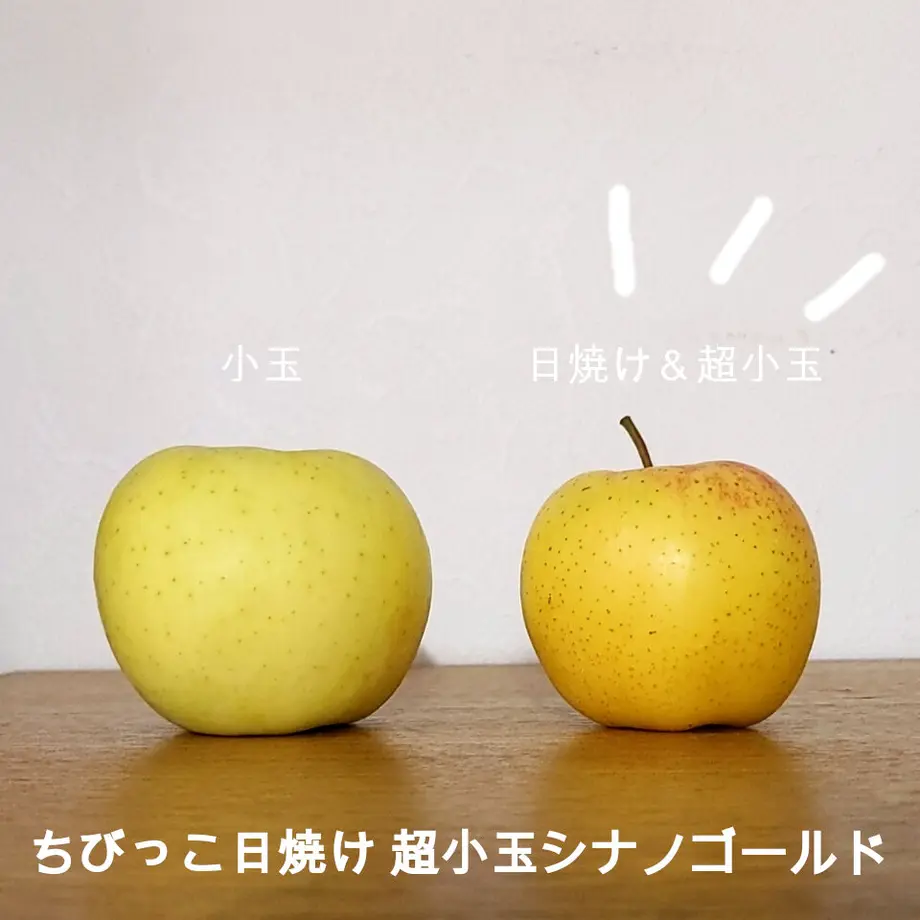 5fb099b4f0b1087e590a82b0