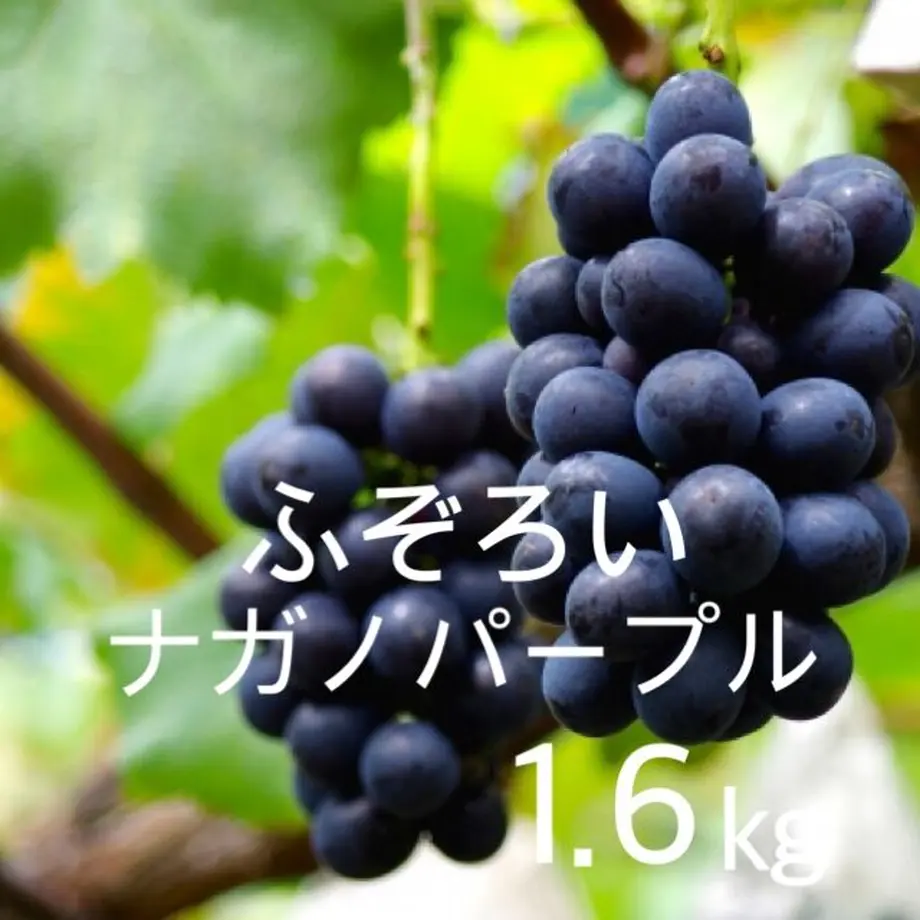 6129086aa92a783f7b1cab77