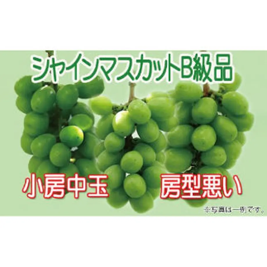 630e1407ef80857579b5172b