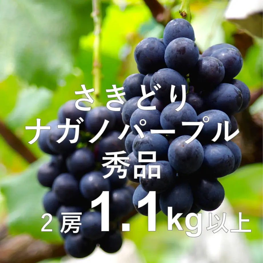 62c04fe0d19123194657cd9b