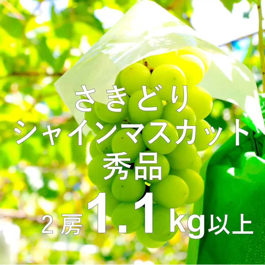 62c04acf40ebf043b04f1160
