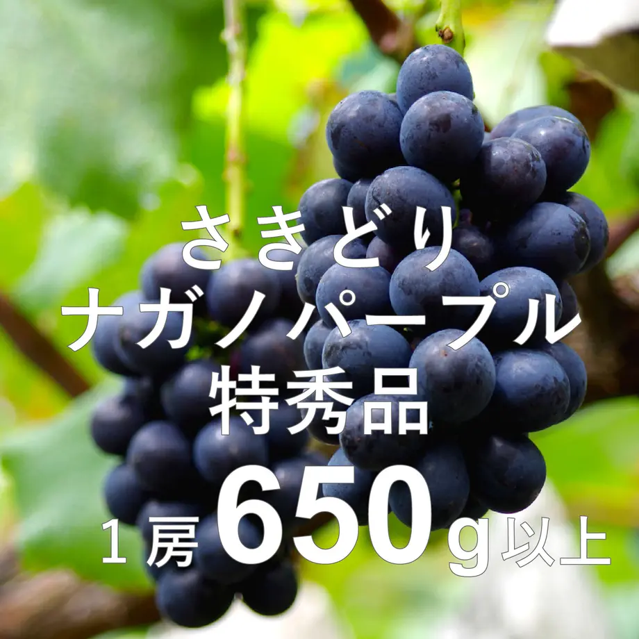 62c04eac40ebf00d904f04f9