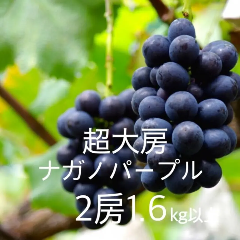 613cb31023055709018cbb1a