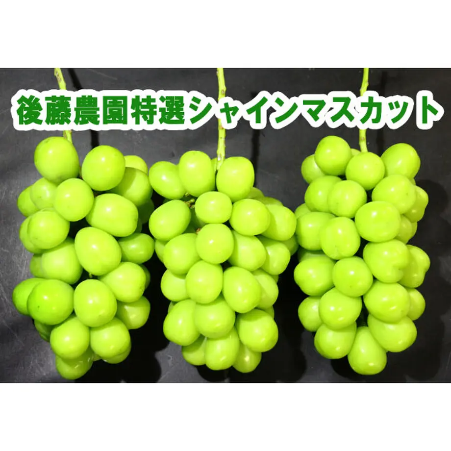 5fa5f36cda019c471f2e09a4