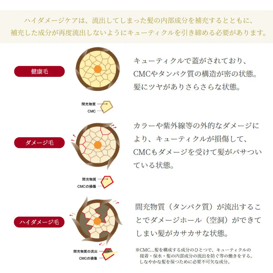613876f5c1209659ff41f862
