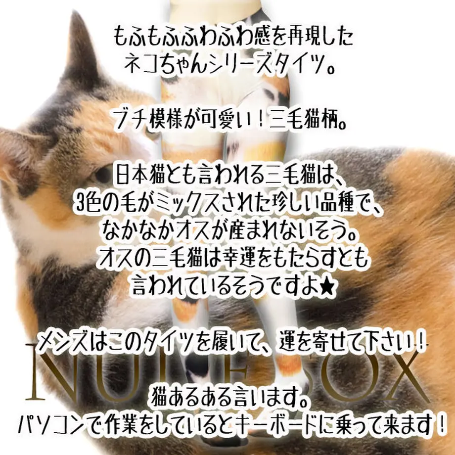 5ebe13b4cee9ea0dfbdb0e35