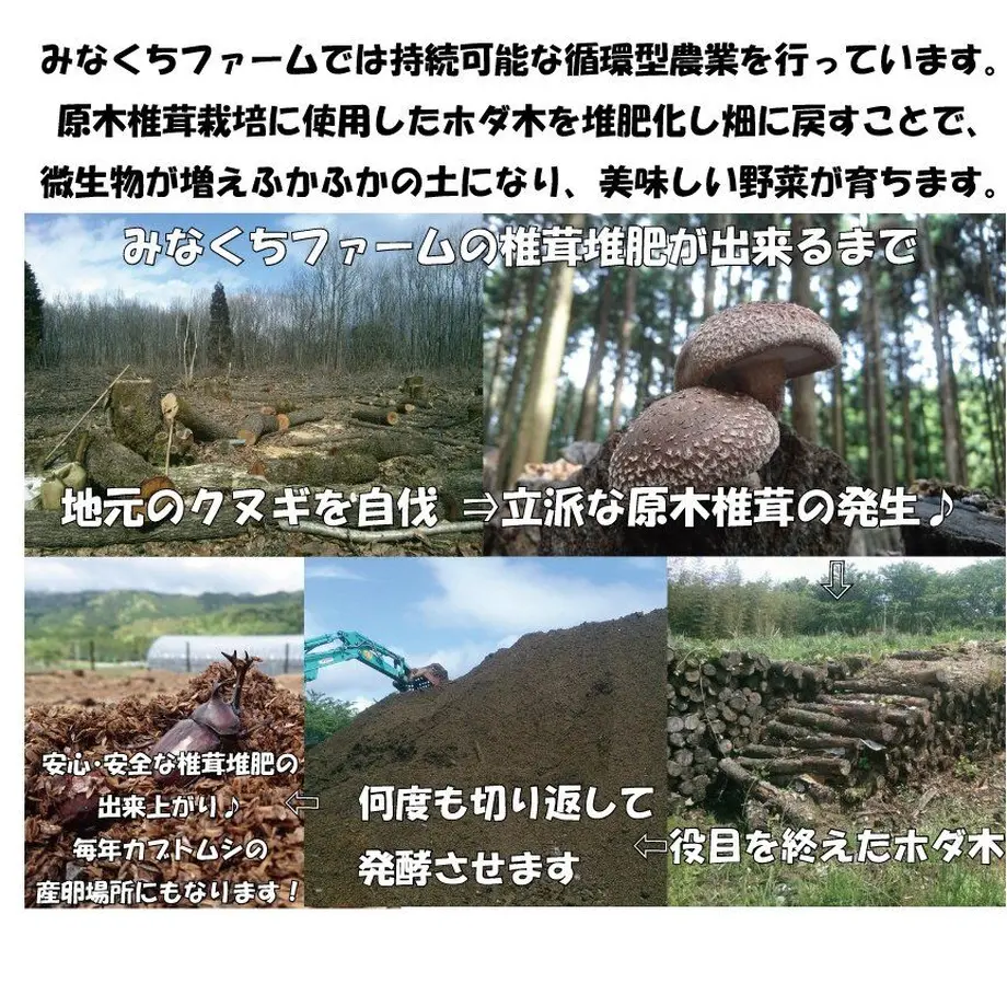 618a079954ddd83a97200a2f