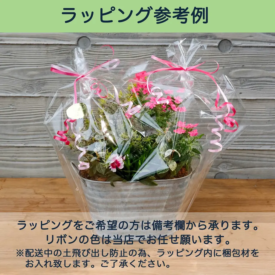 5ea2ec675157623cc4a82b8d