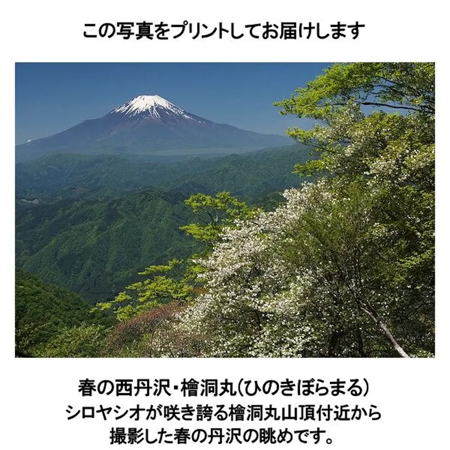 62333f42a861131a0e12ec62