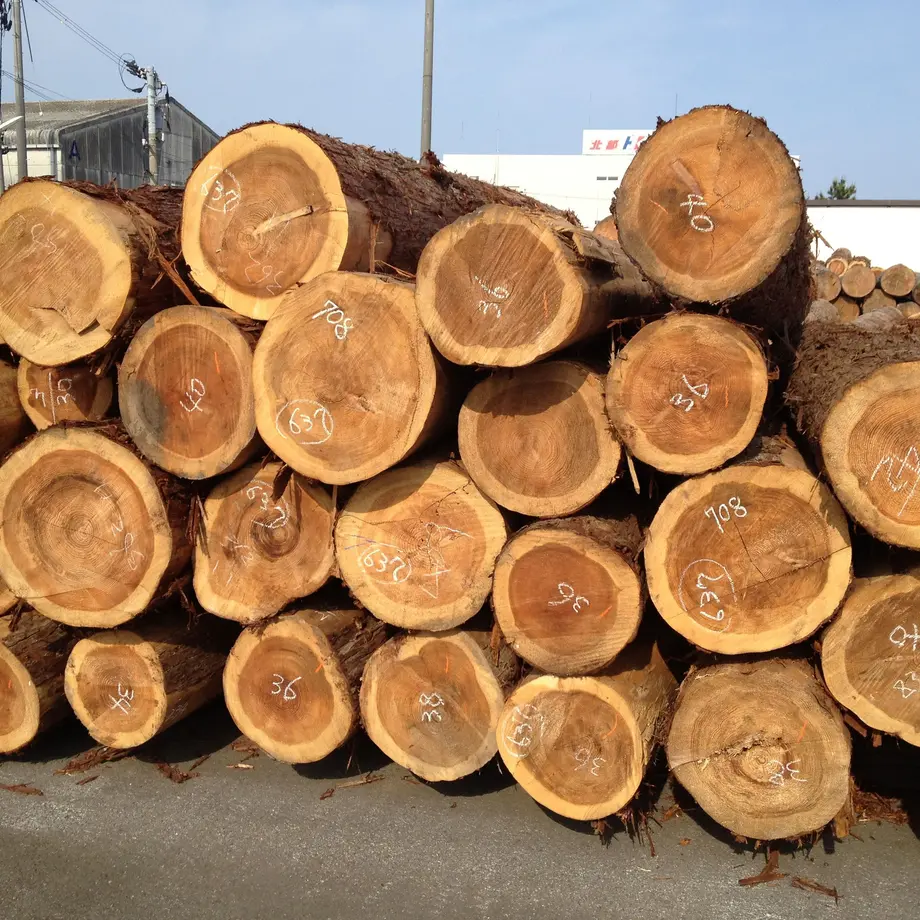 5b6ba1acef843f4fa7000de3