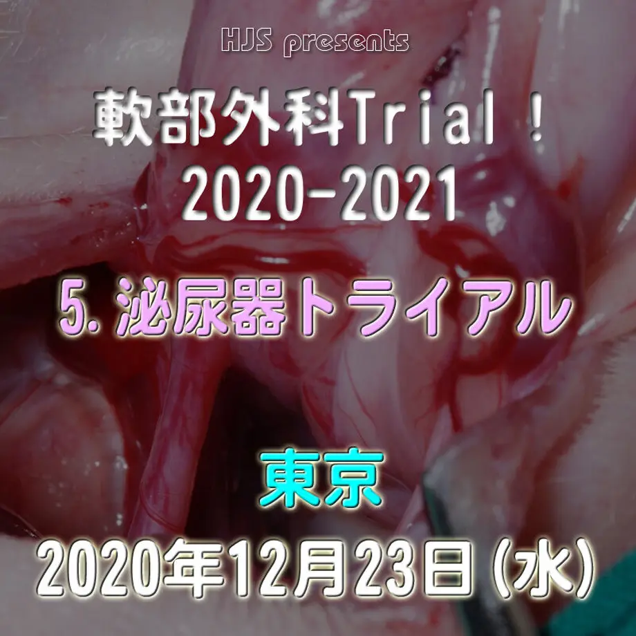 5f9a31e515ab31377e3b64ad