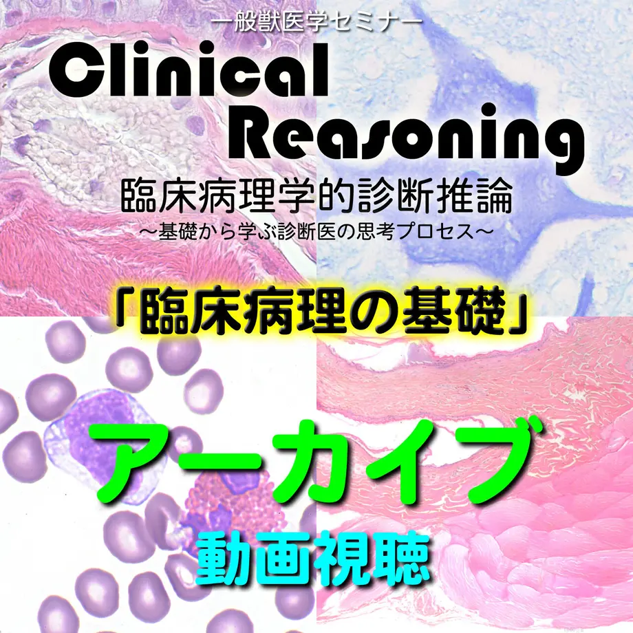 634d2bc6c808a440d8d70d28