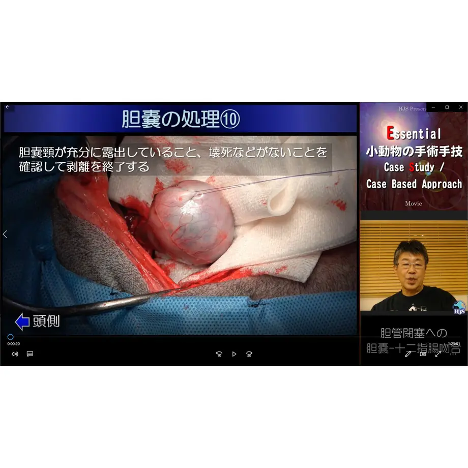 637361ecd7e1d86aa9980f80