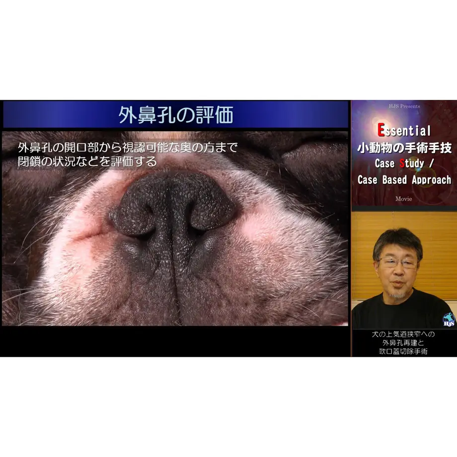 630327695ff42355e67cb10f
