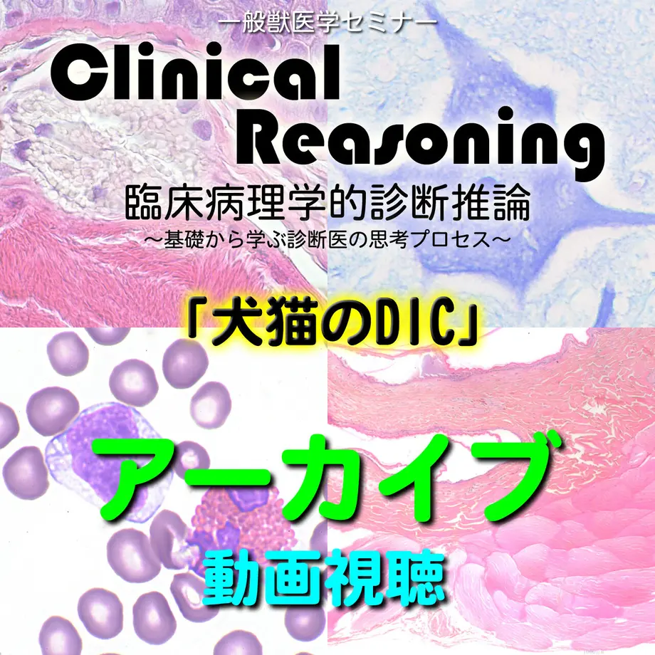 632c8e44f3086561023cd6d5
