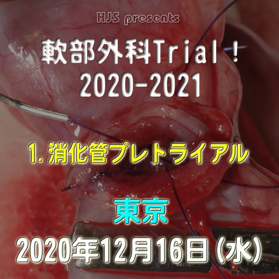 5f999e50ef8085607b98d86a