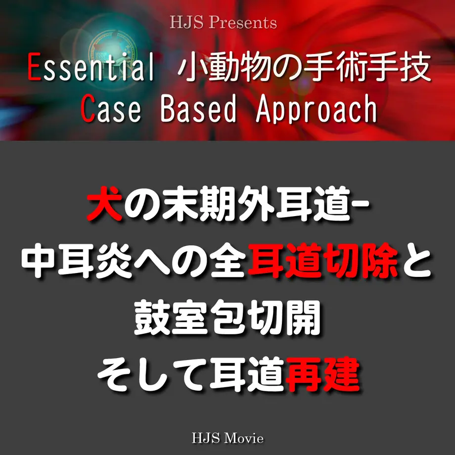 627c8dfebc8f3933a6ade0fe