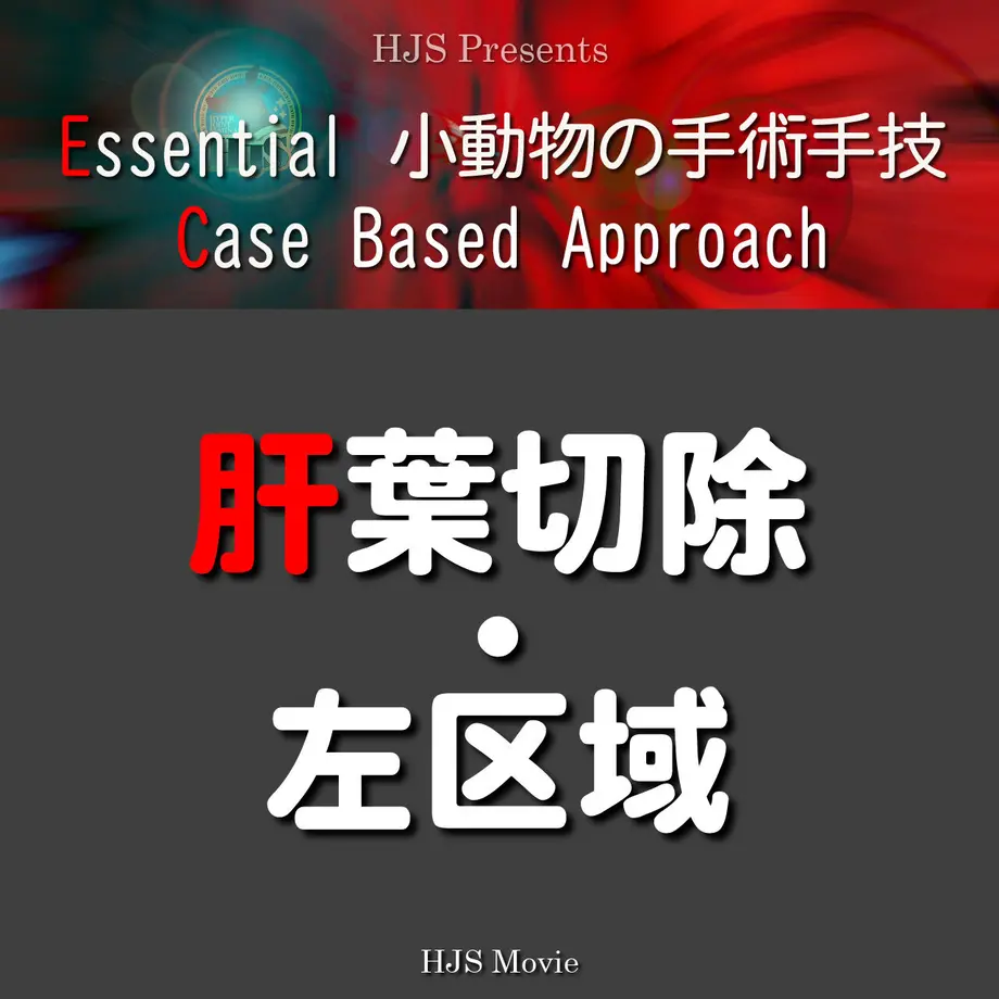 62e3f6b4ac366146db5e040e