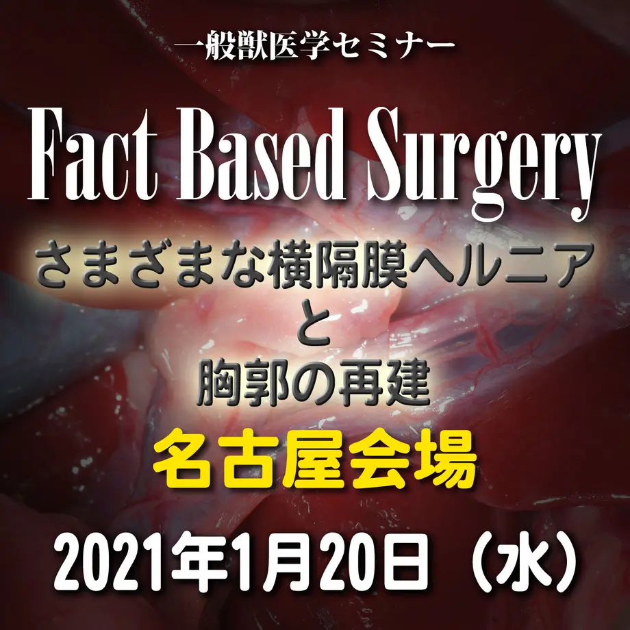 5fe75cacf0b10833c9f624a4