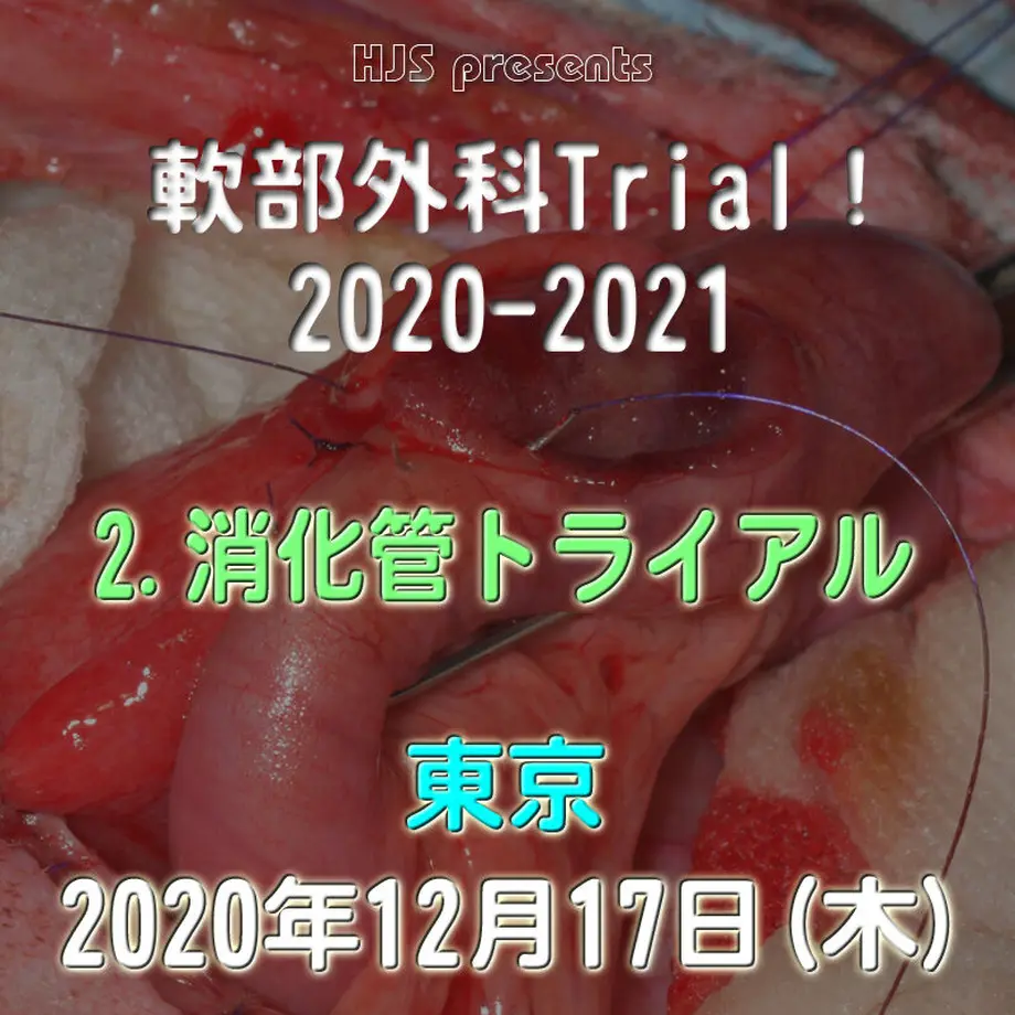 5f9a2e320eb24a44595662e0