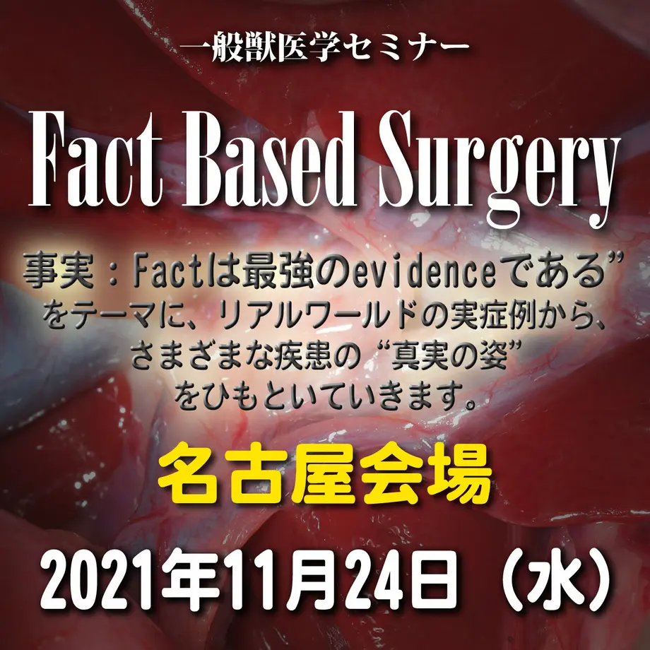 6188b653ac366139dbb65e48
