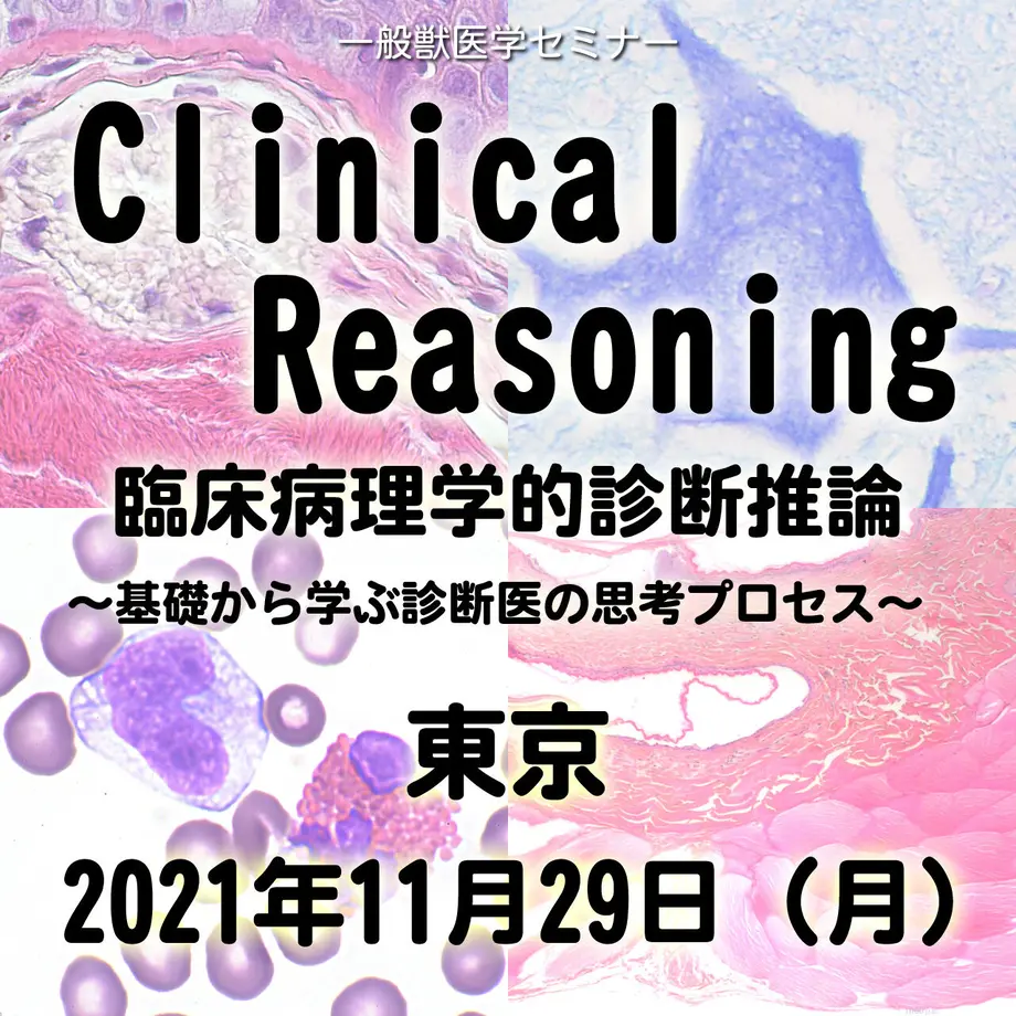 6188b243330378229c23060f