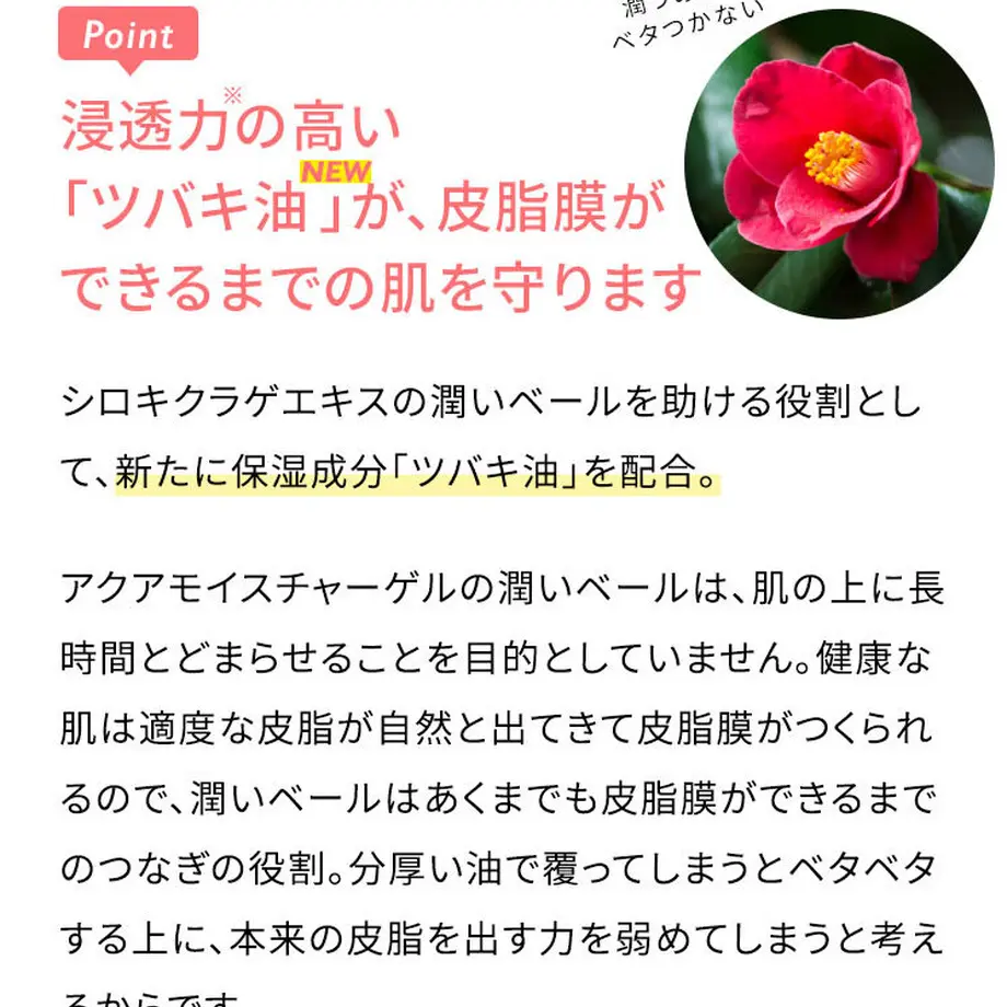 5c6bb104aee1bb3c1db1472b