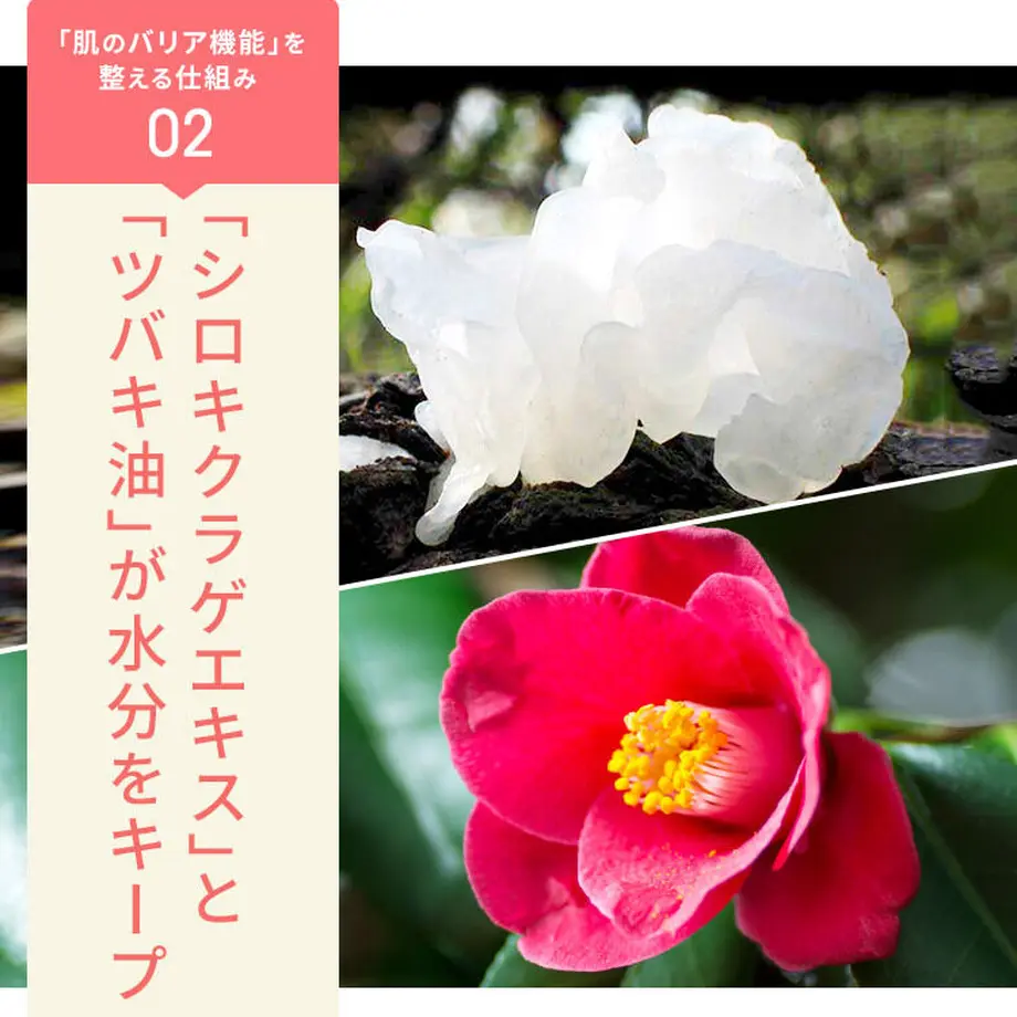 5c6bb104aee1bb3c1db1472b