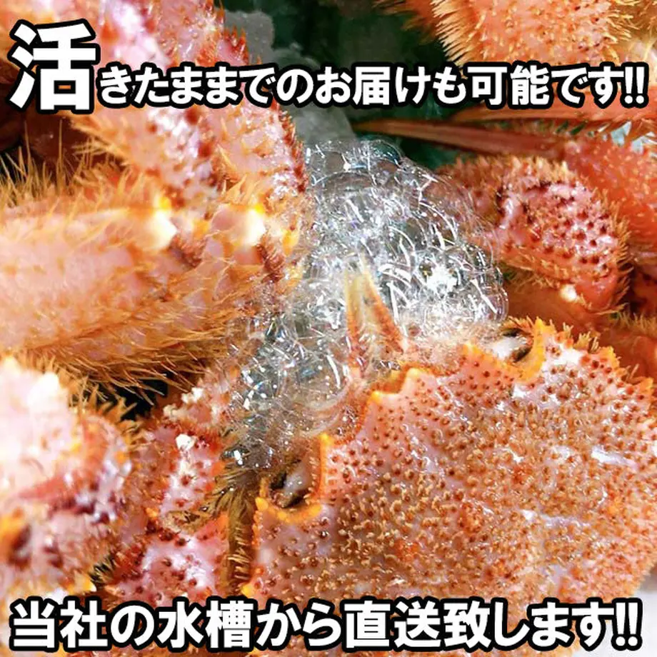 6030bb2b6e84d5165e5eaa6f