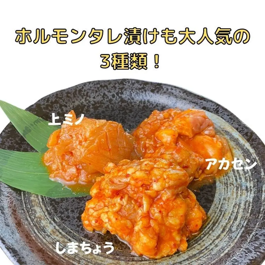 61334f528c1a5b3b8beee513