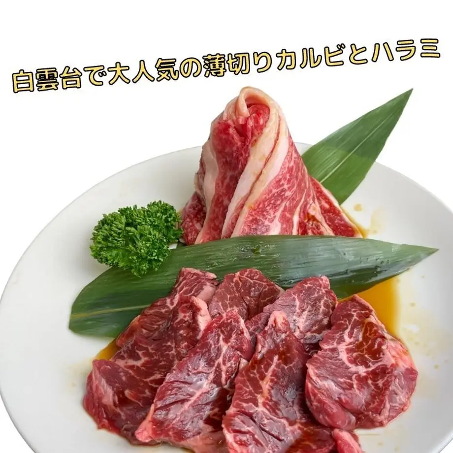 61334f528c1a5b3b8beee513