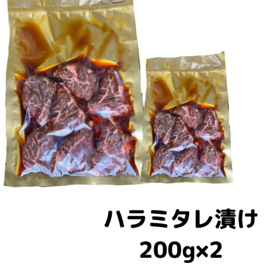 61334f528c1a5b3b8beee513