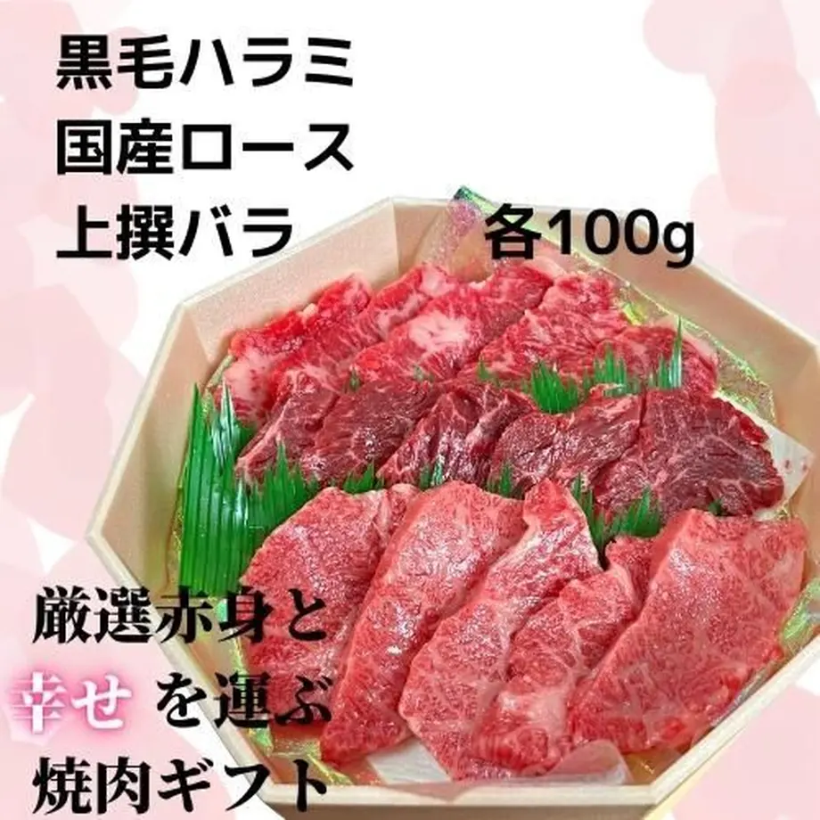 6103817fe494335d29588104
