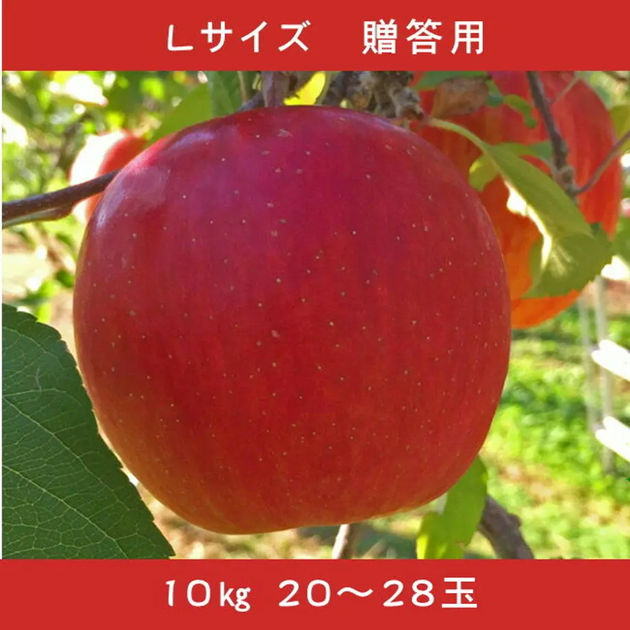 5f7c88a28f2ebd55406e1155