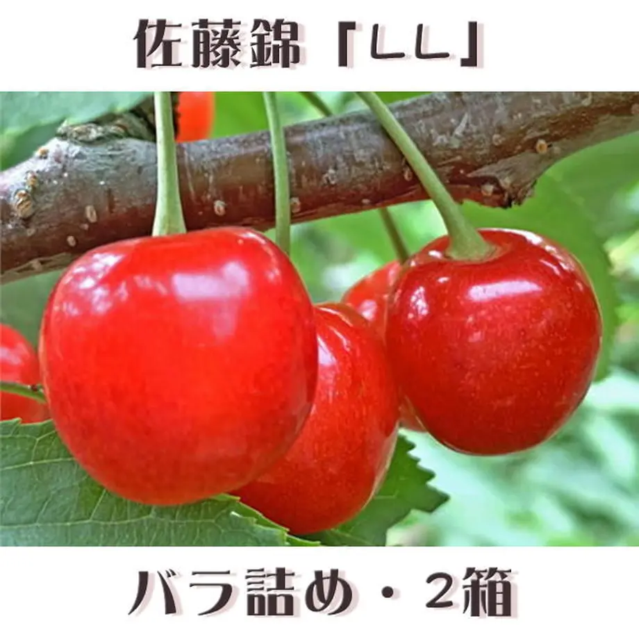 5ee080aa55fa0361e4d1eb9d