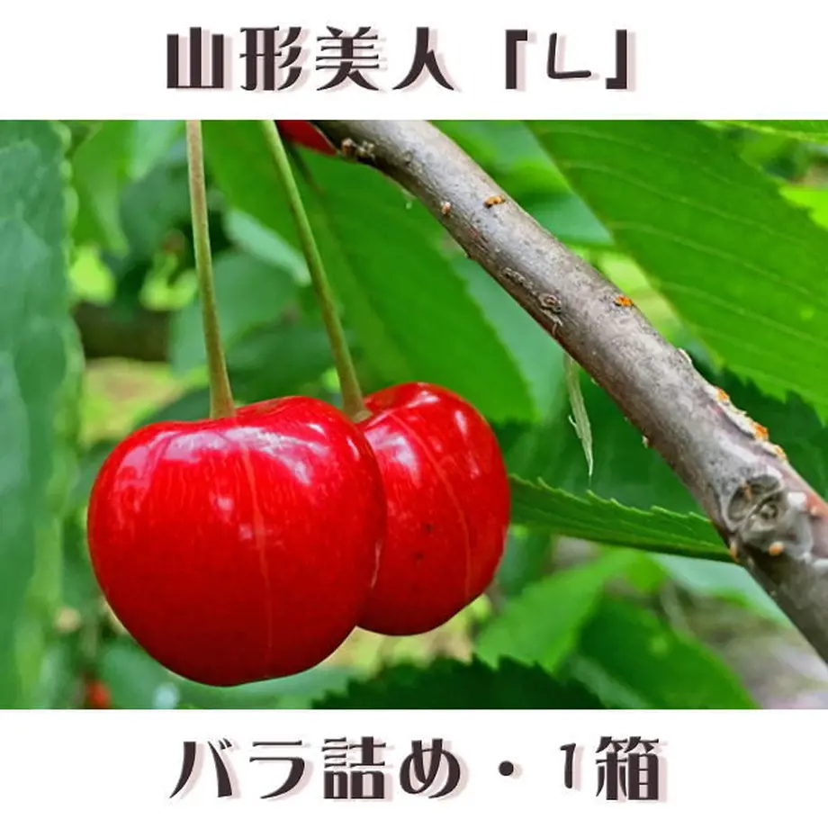 5eae100351576215b55f42c5