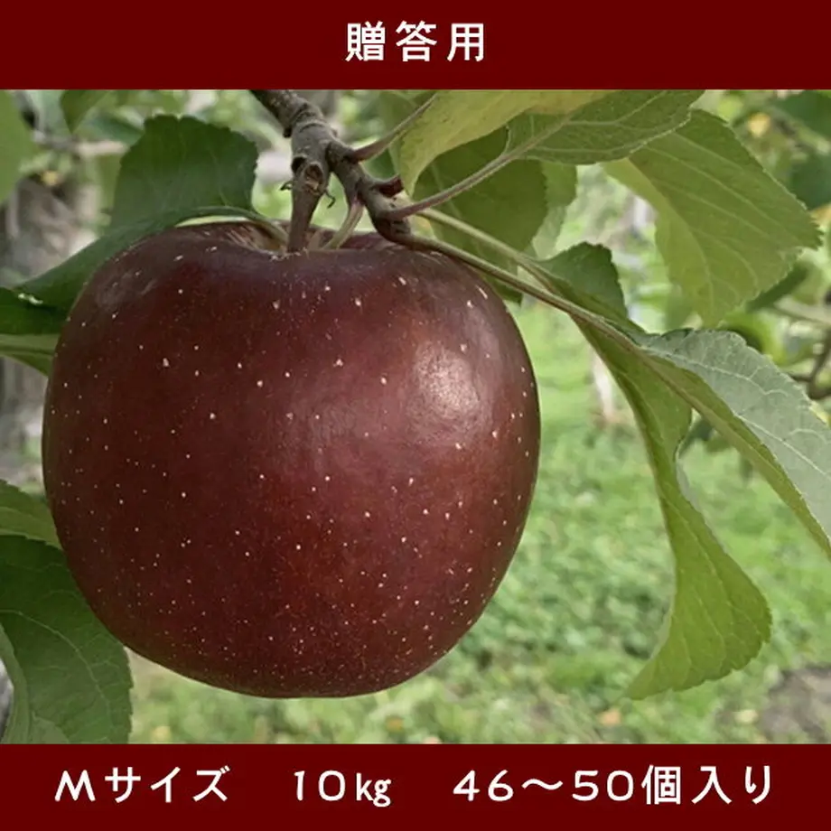 5f9ad5678a45725c143be714