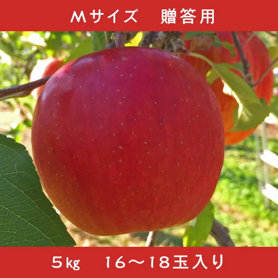 5f7c8b8e3ae0f455507f448e