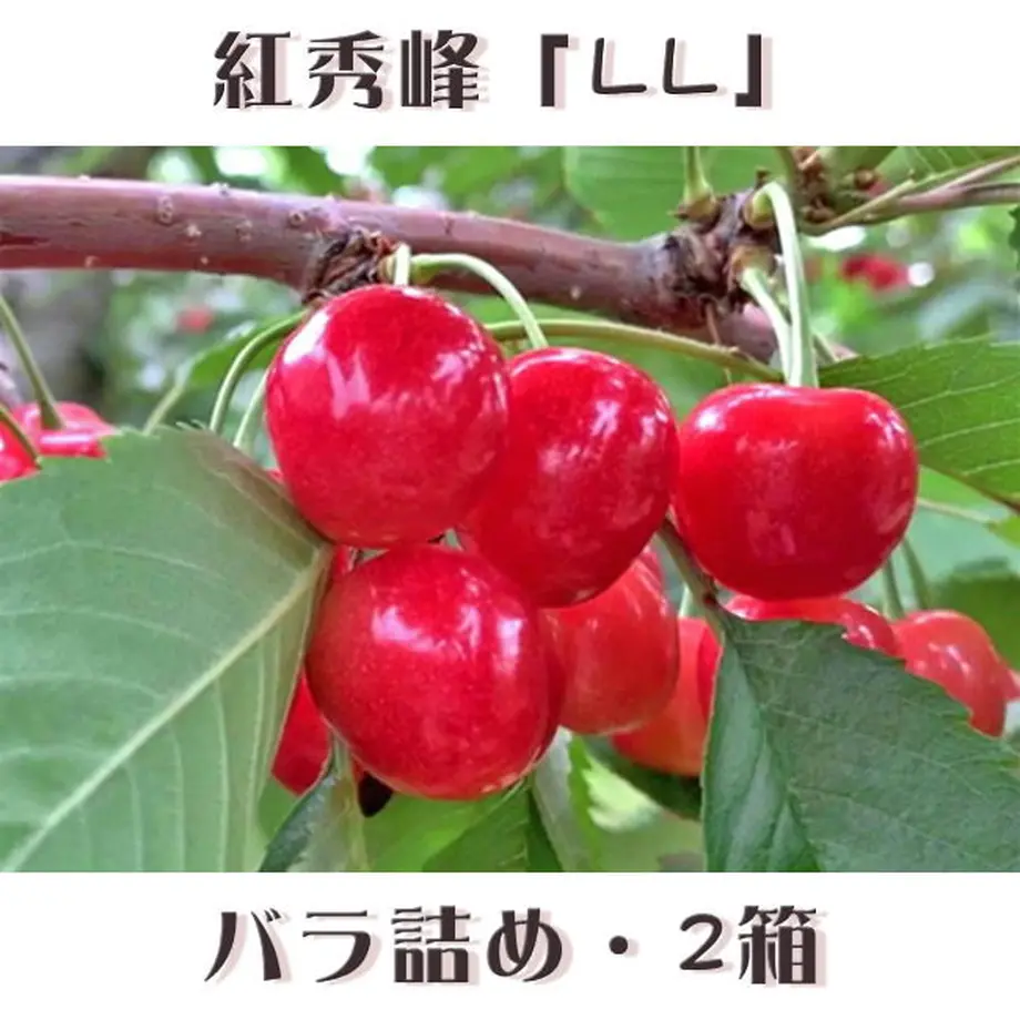 5ee0973b72b9114841c902aa