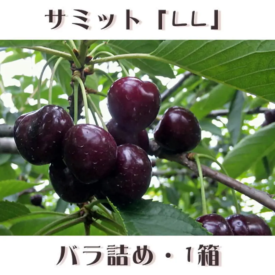 5ead8f3934ef010db7044b34