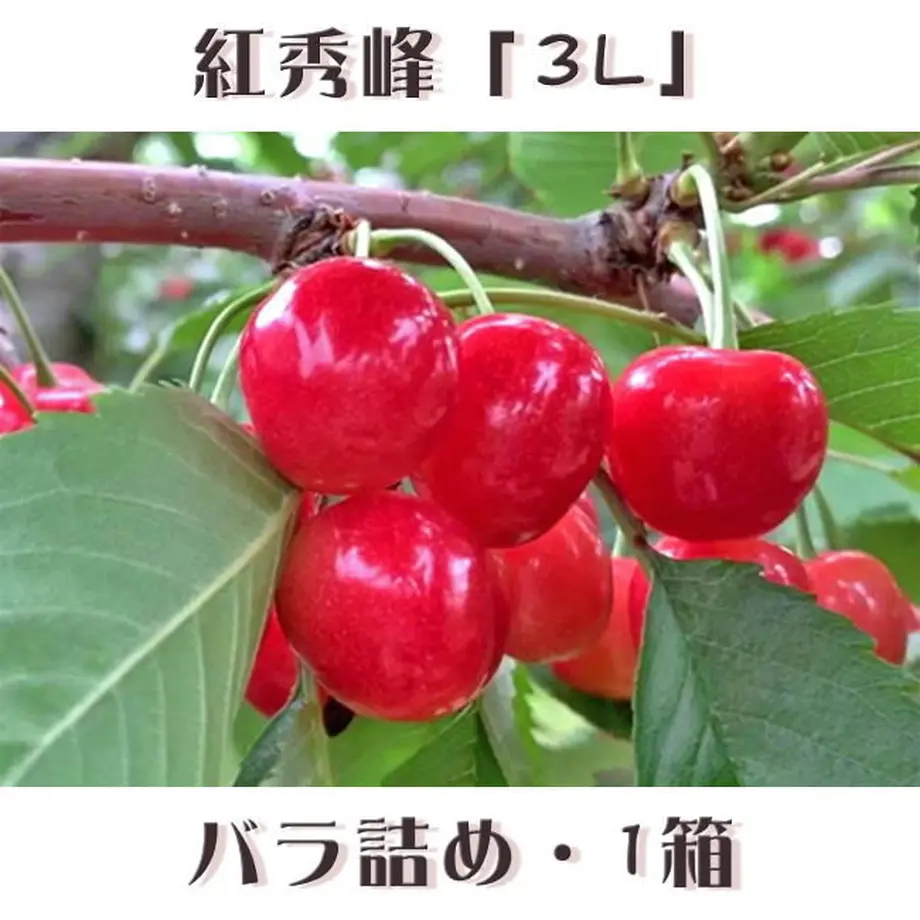 5ead97f75157620fca5f44c4
