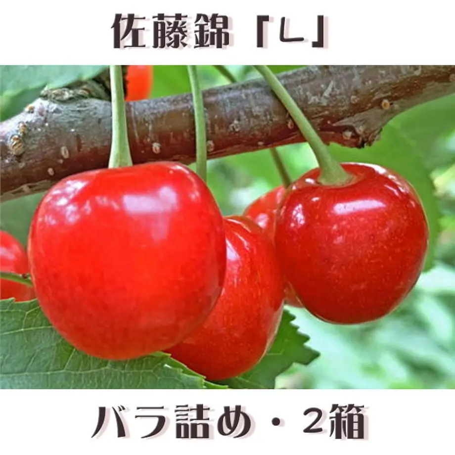 5ee0839a34ef0136f53fa6a8