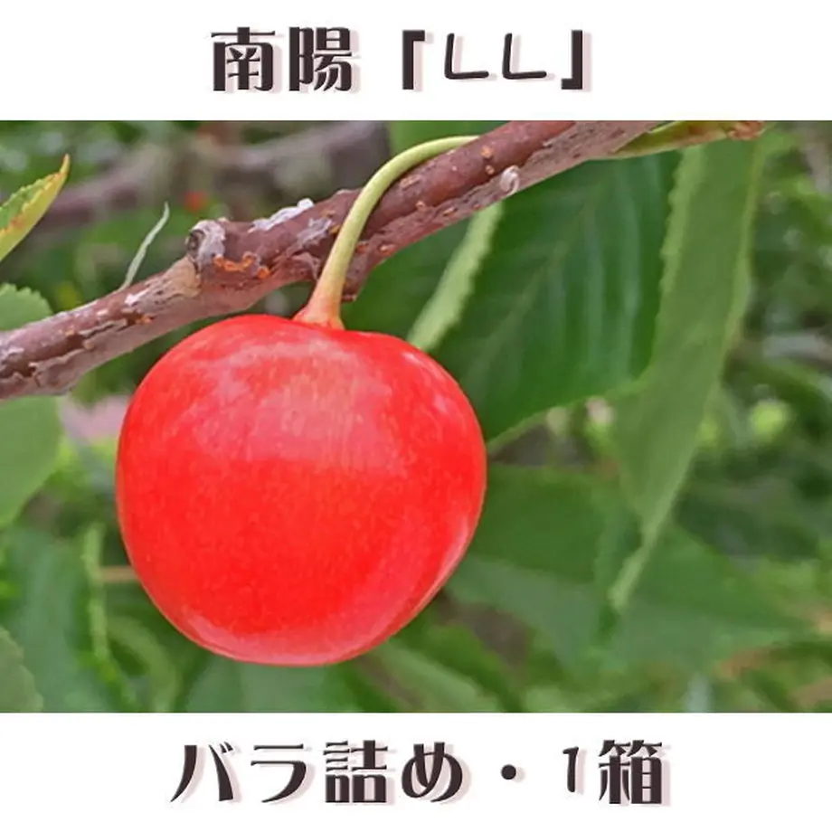 5eae632f55fa03790f3e2b88