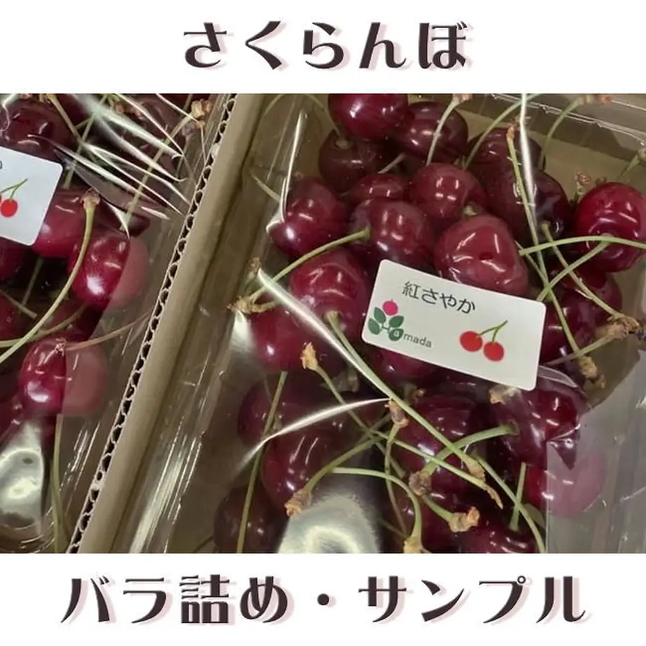 5ead946634ef014add044e3b