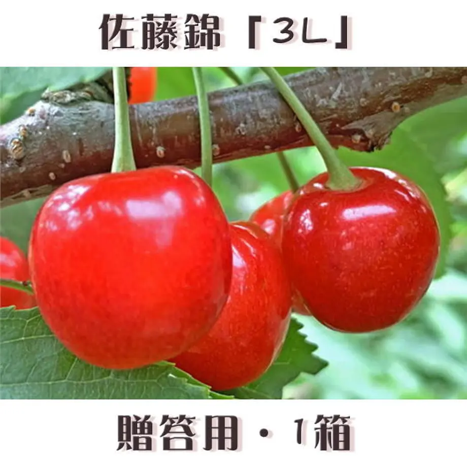 5eaebba534ef0169e9044af5