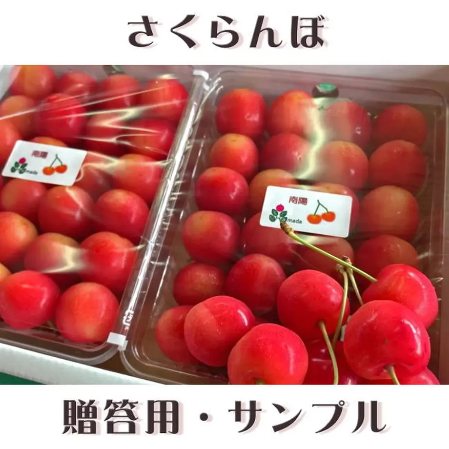 5ee0895655fa0340d2d1ea17