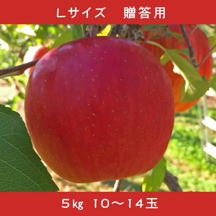 5f7c8df307e16316dd5d2257