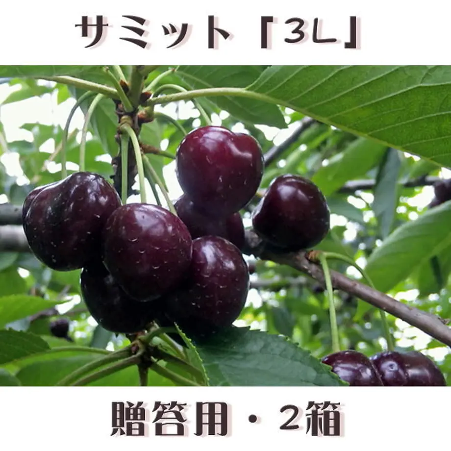 5ee0aa3034ef0179d916949e